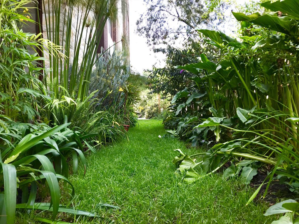Ilalo Garden Hotel & Restaurant Quito Exterior foto